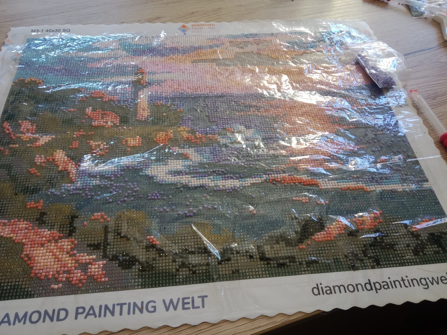 Customer photo review of Überraschungsbild - Diamond Painting