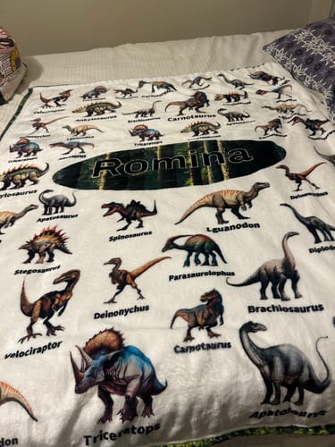 Customer photo review of Free Shipping✈️Personalized Jurassic Dinosaur Name Custom Blanket