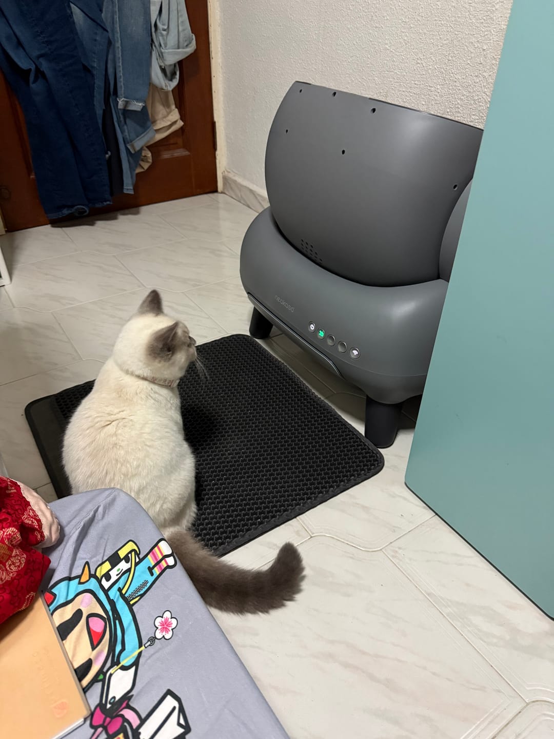 Customer photo review of Neakasa M1 Open-top Self-cleaning Cat Litter Box