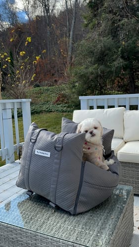 Customer photo review of Sleeping Paws Luxe Pooch Pad