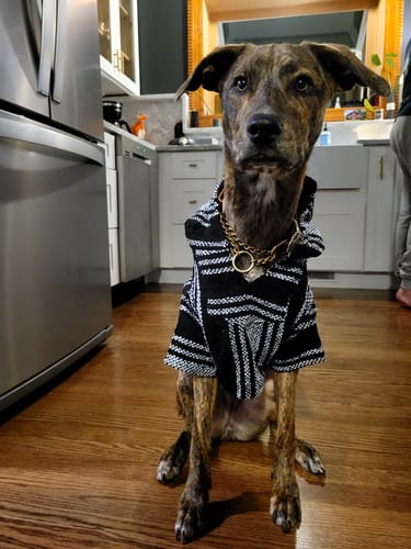 Customer photo review of Playa Poncho - Surprise Color