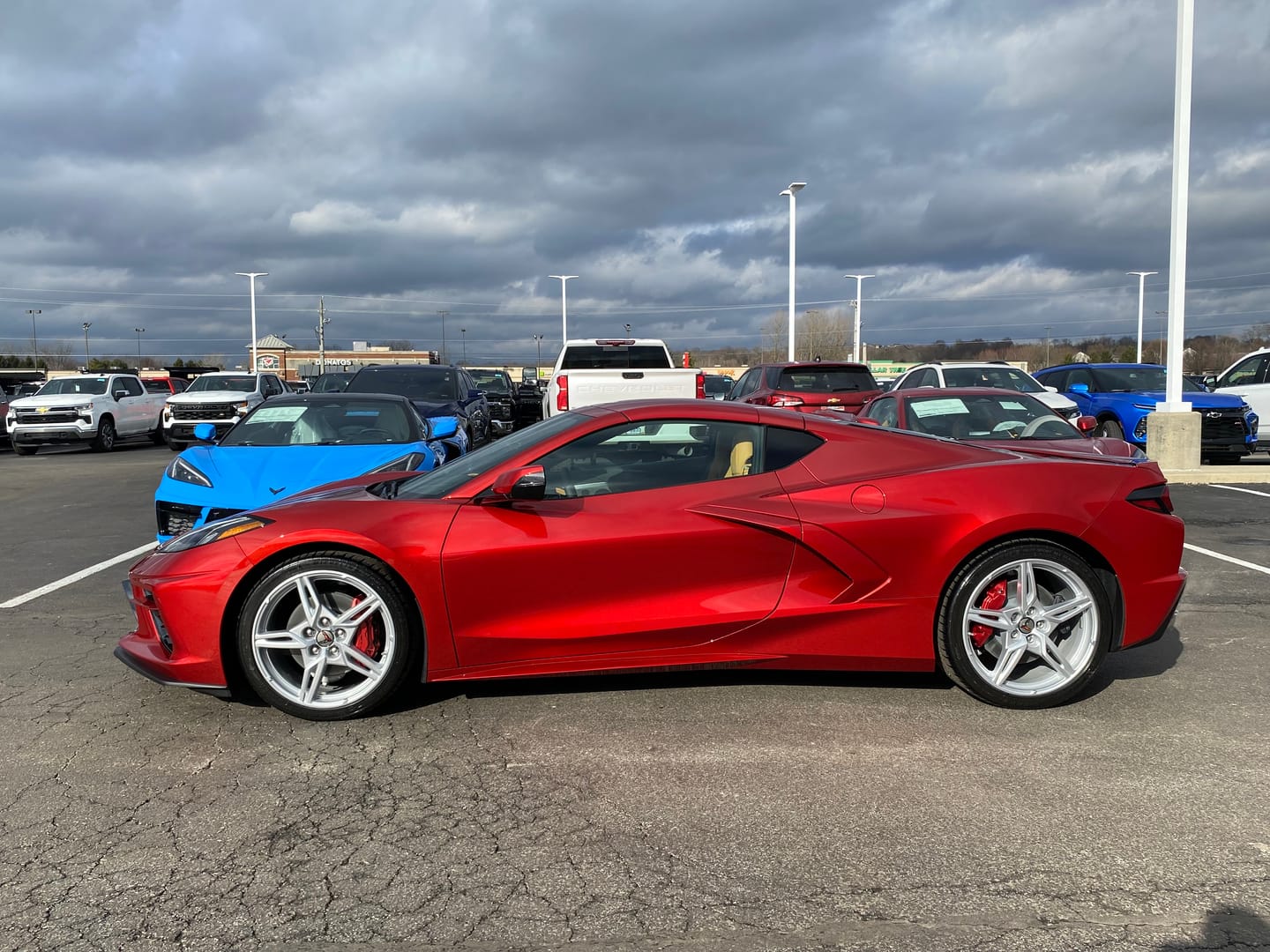 Customer photo review of Corvette C8 Front Mesh Grill Insert Cover