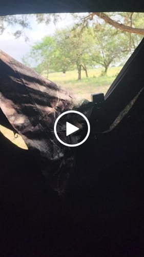 Customer video review of Beast Broadheads