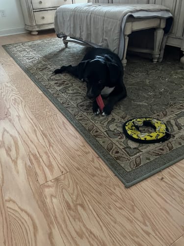 Customer photo review of STRAWBERRY YAK CHEWS