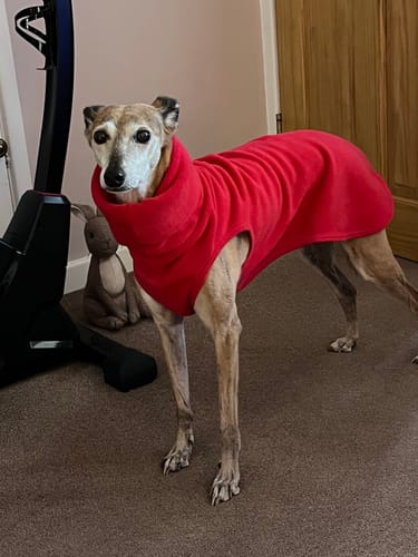 Customer photo review of Sighthound Sleeveless Fleece Sweater / Pullover / Jumper / Pyjamas