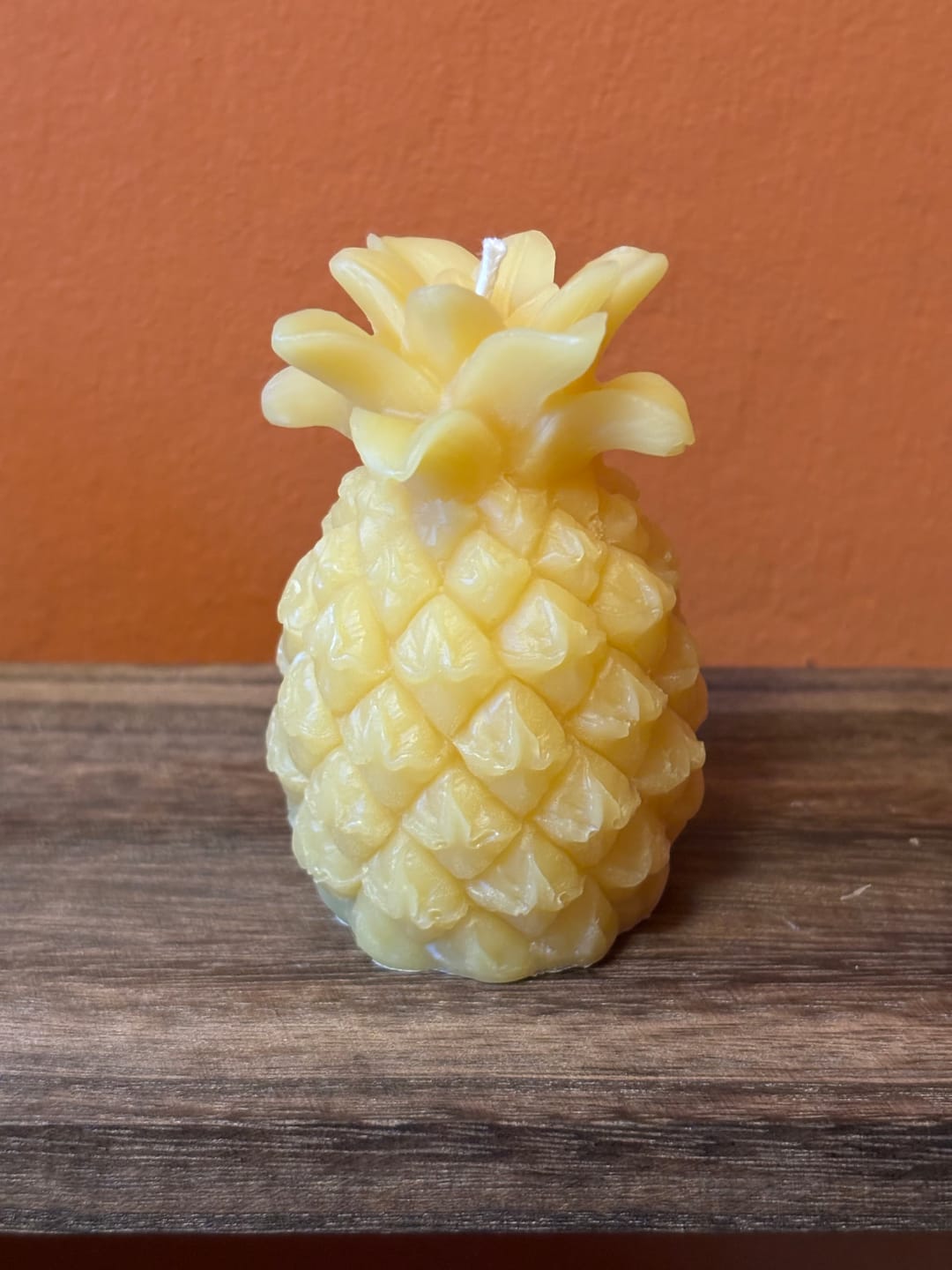Customer photo review of Pure Beeswax Blocks (Free Shipping)