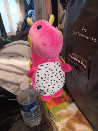 Customer photo review of Cute Stuffed Dragon Fruit Plush Toys Gifts For Girls Kids Birthday