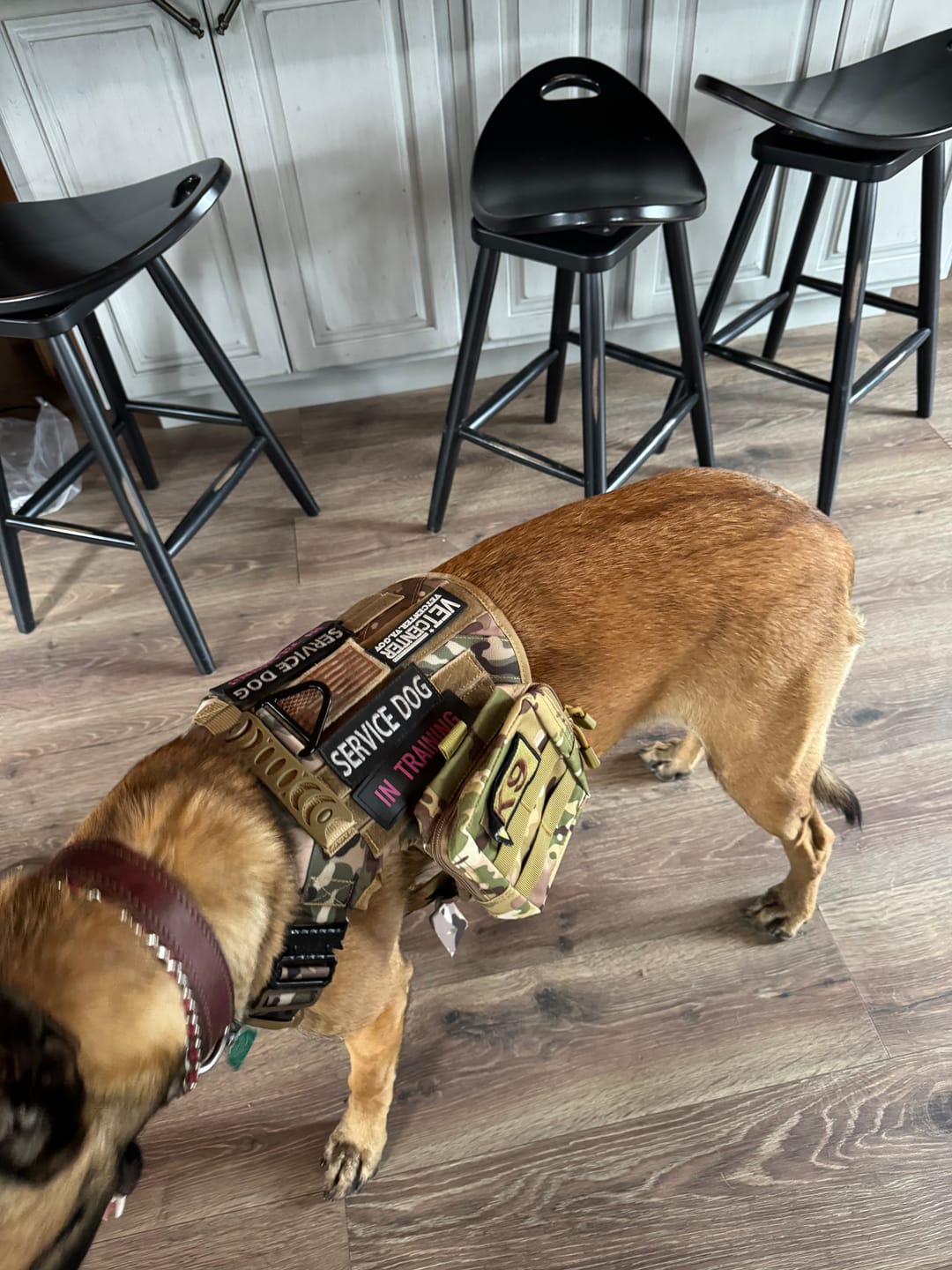 Customer photo review of Tactical Utility MOLLE Pouch For Harness (3-Piece Set)