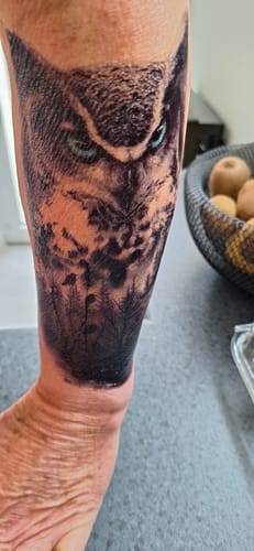 Customer photo review of Hiboux et forêt