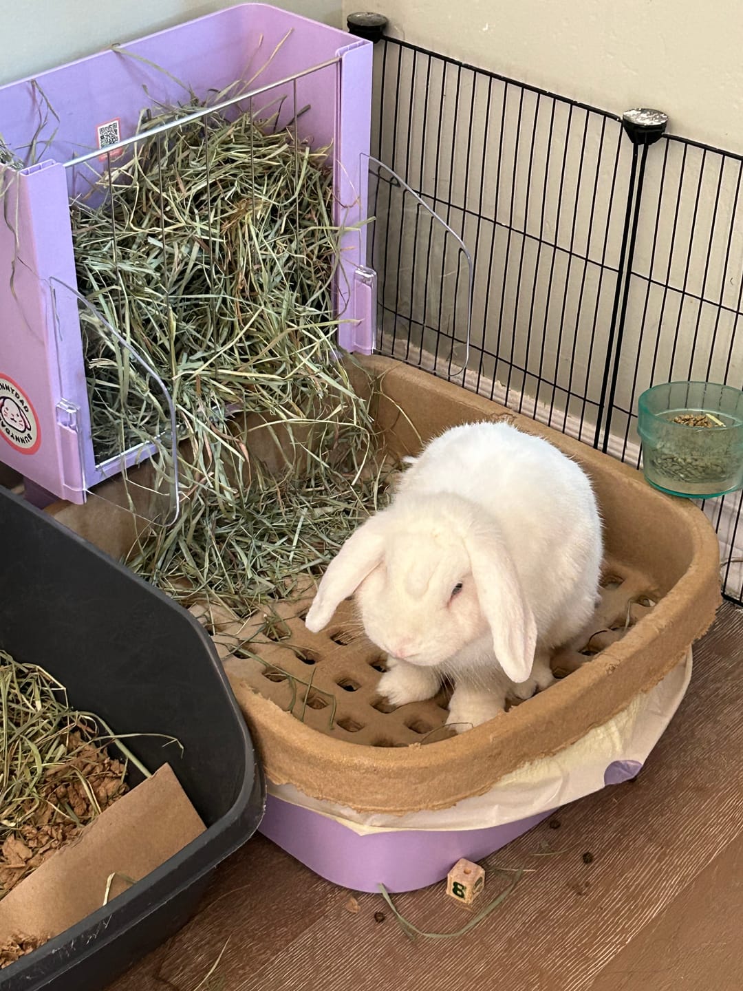 Customer photo review of BunnyLet Refills - WaffleTrays & Liner Bags (2 Month Supply!)