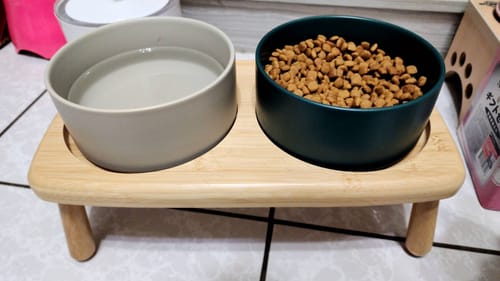 Customer photo review of 寵物陶瓷碗 可搭配多款碗架 7色 2種尺寸