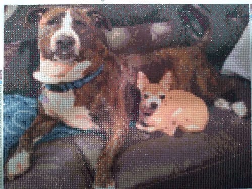 Customer photo review of Made with Diamonds® Custom Kit