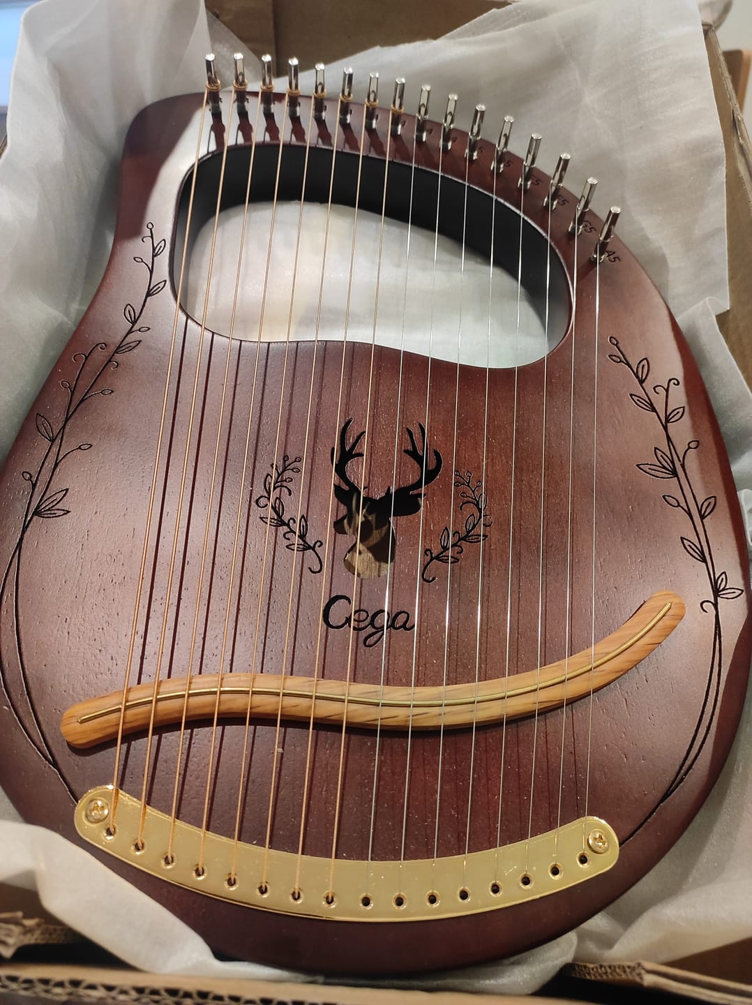Customer photo review of Lyre Harp 16 String CEGA Reindeer Mahogany w/Bag