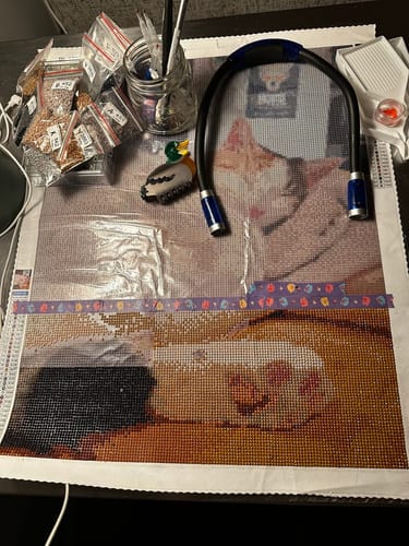 Customer photo review of Made with Diamonds® Custom Kit