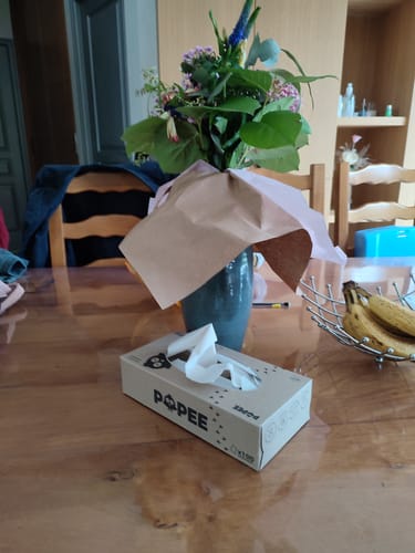 Avis photo d'un client sur BOÎTES DE MOUCHOIRS - Mouchoirs en papier adaptés aux Peaux Sensibles
