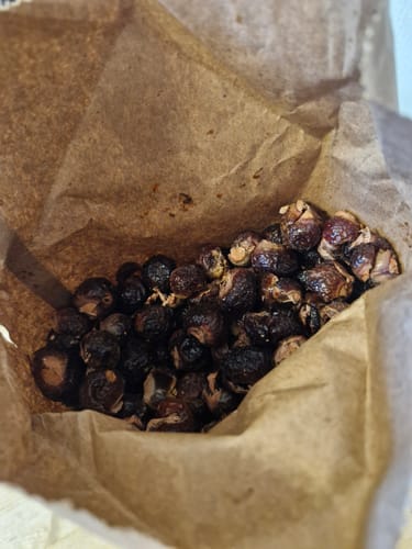 Customer photo review of Soapnuts For Planet Friendly Clothes and Dish Washing, Certified Organic in Eco Bags