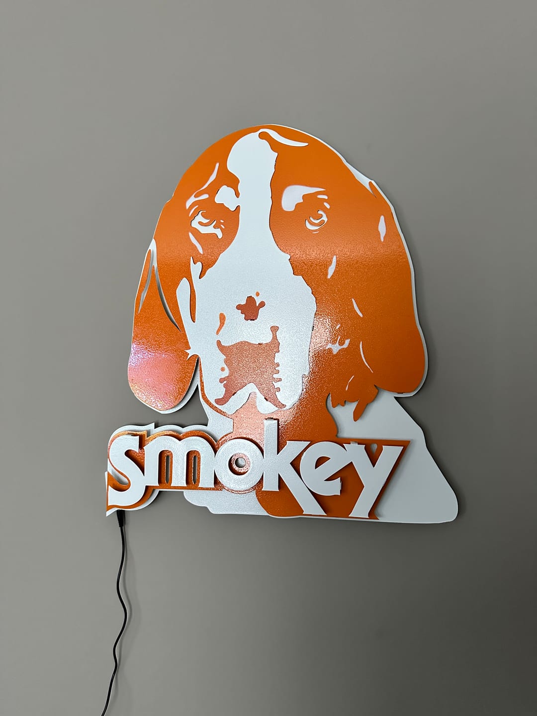 Customer photo review of Tennessee Volunteers from the VAULT Old "Smokey" 3D Vintage Metal Wall Art