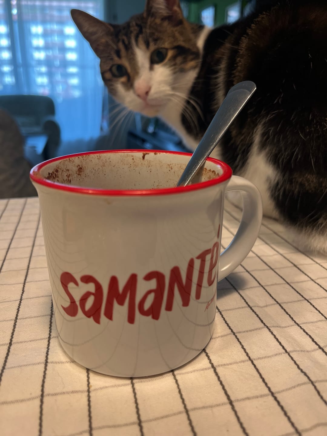 Customer photo review of Taza "Samanté!" vintage