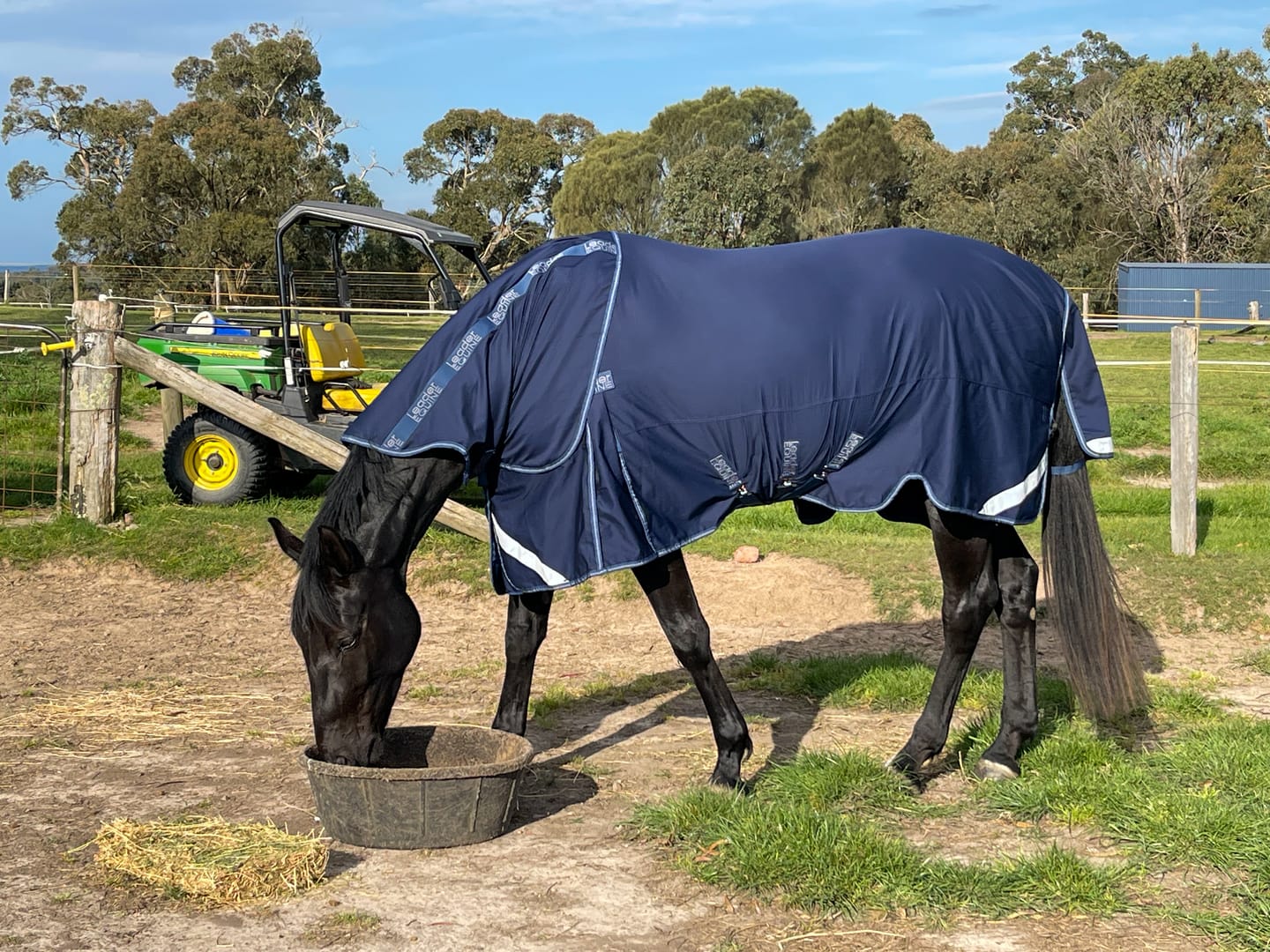 Customer photo review of LE Fieldsafe Universal Cotton Sheet