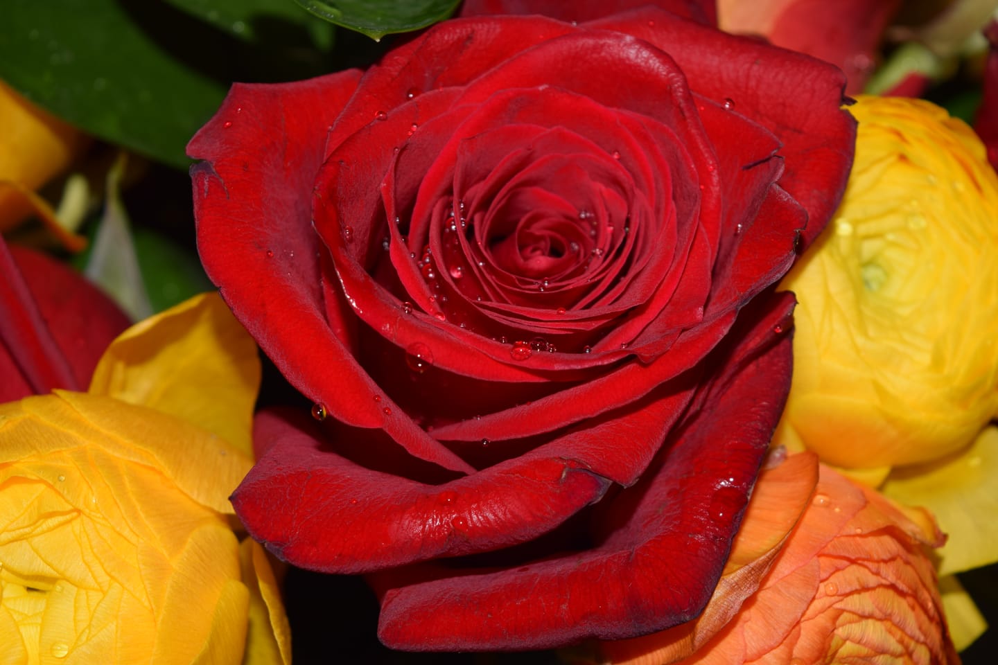 Customer photo review of Bouquet of The Month Subscription Club