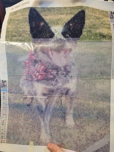 Customer photo review of Made with Diamonds® Custom Kit