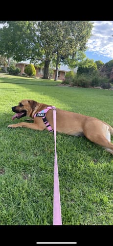Customer photo review of Custom Name Patches
