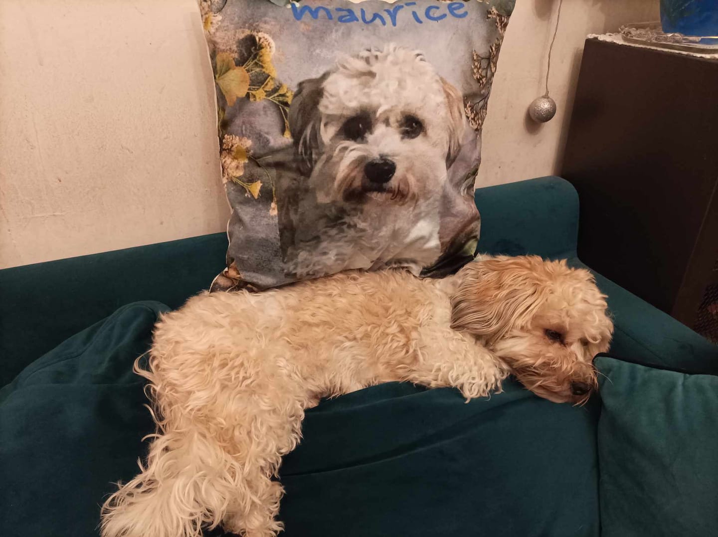 Customer photo review of Avec photo - Coussin personnalisé