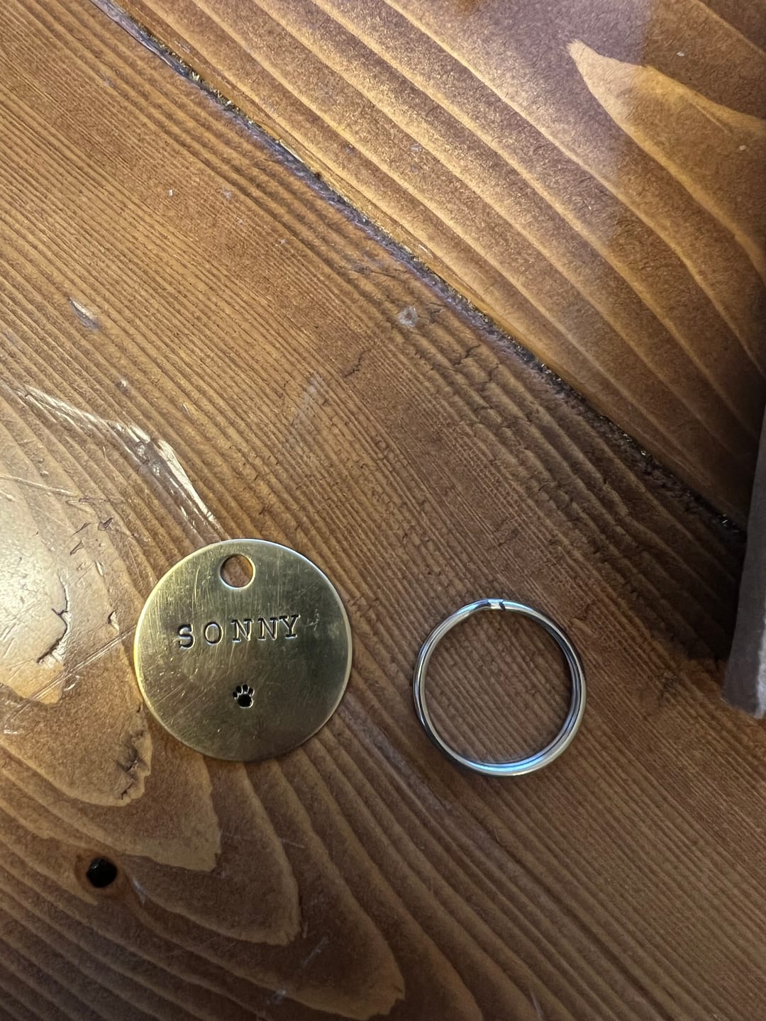 Customer photo review of Hand Stamped Pet ID Tag