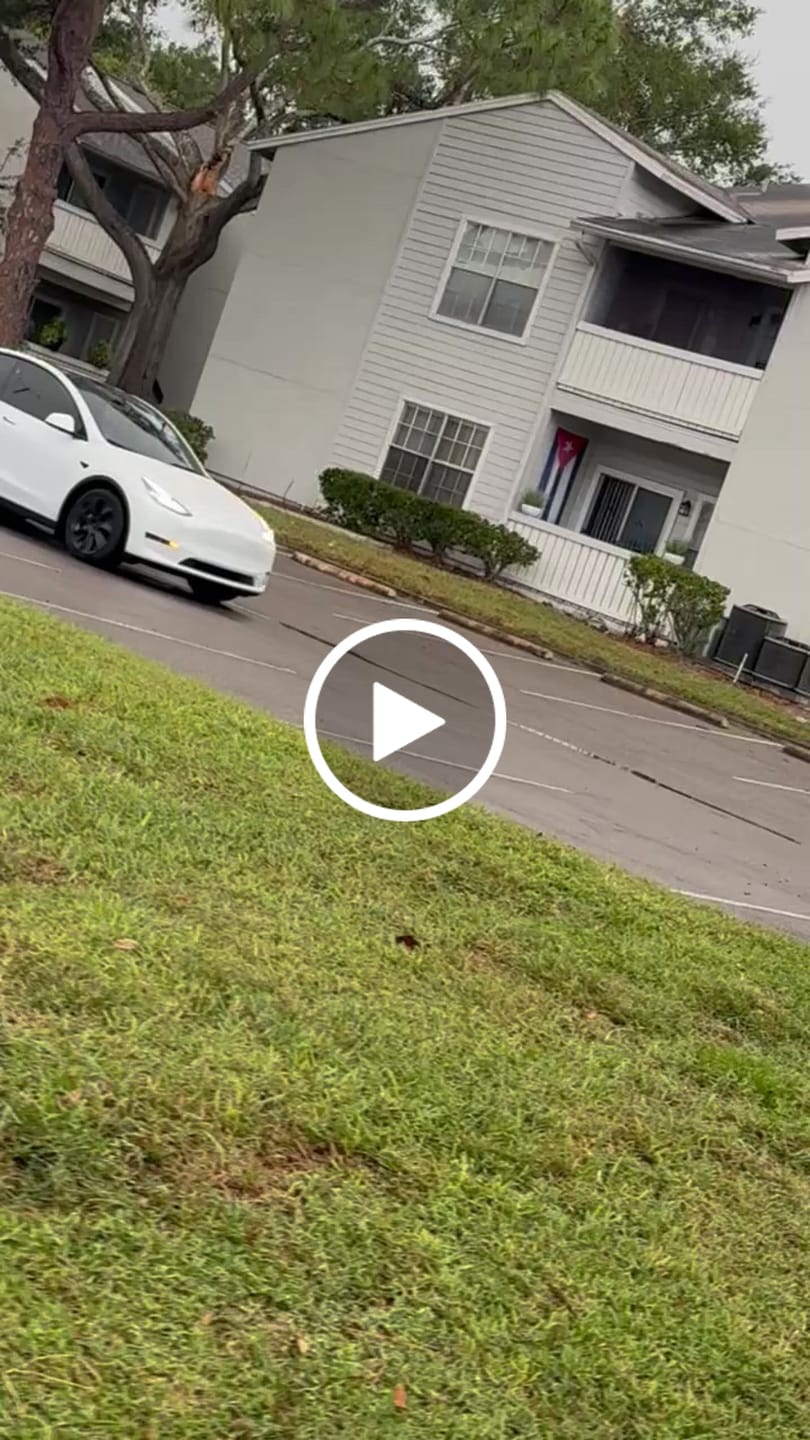 Customer video review of TESPLUS 19'' Induction Style Wheel Cover for Model Y