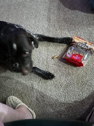 Customer photo review of Natsticks Chicken Chewy Sticks - 6 Inch