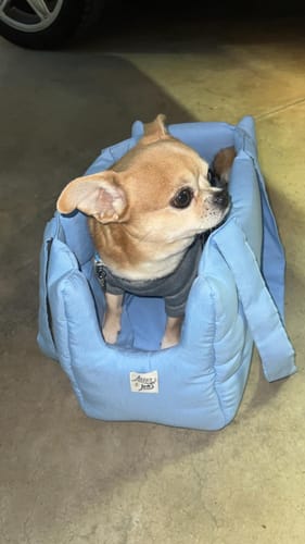 Customer photo review of Trasportino Cotone Siena