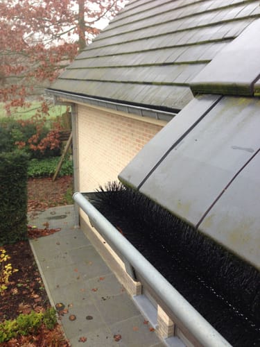 Customer photo review of Hedgehog' Gutter Brush