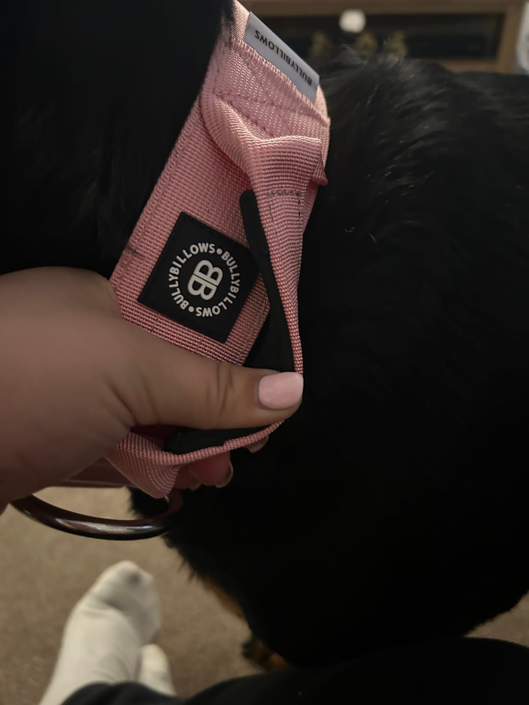 Customer photo review of 5cm Combat® Collar | With Handle & Secure Clip - Pink