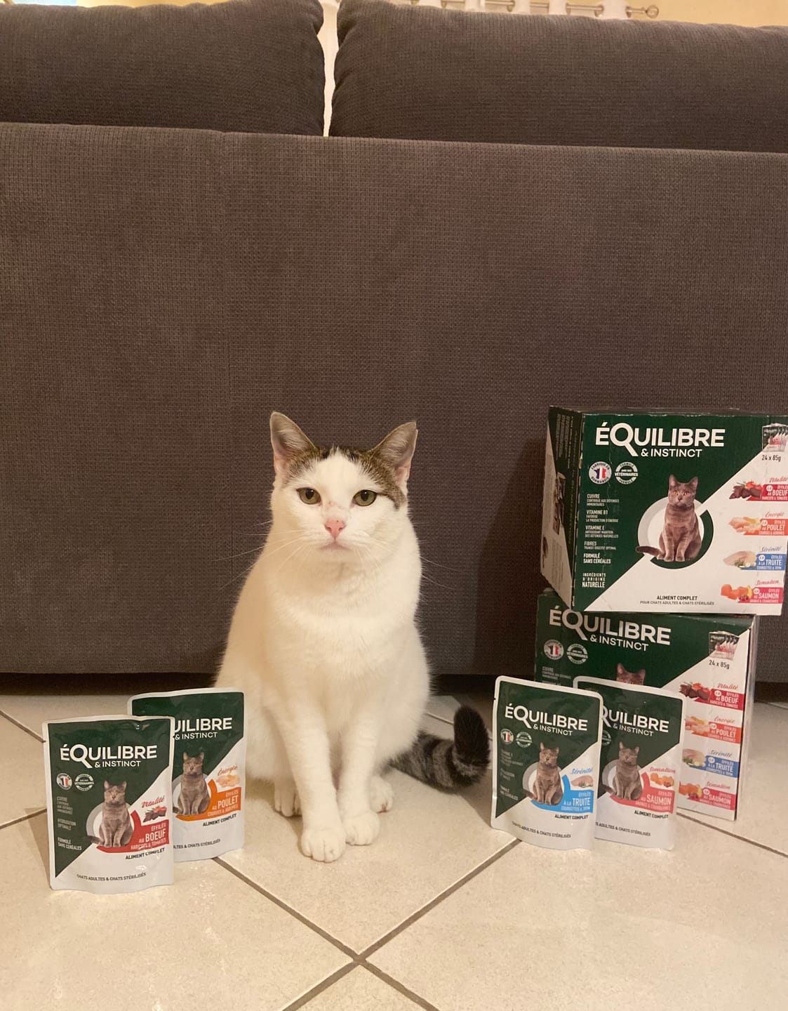 Customer photo review of Multipack d'effilés (chat stérilisé et chat adulte)