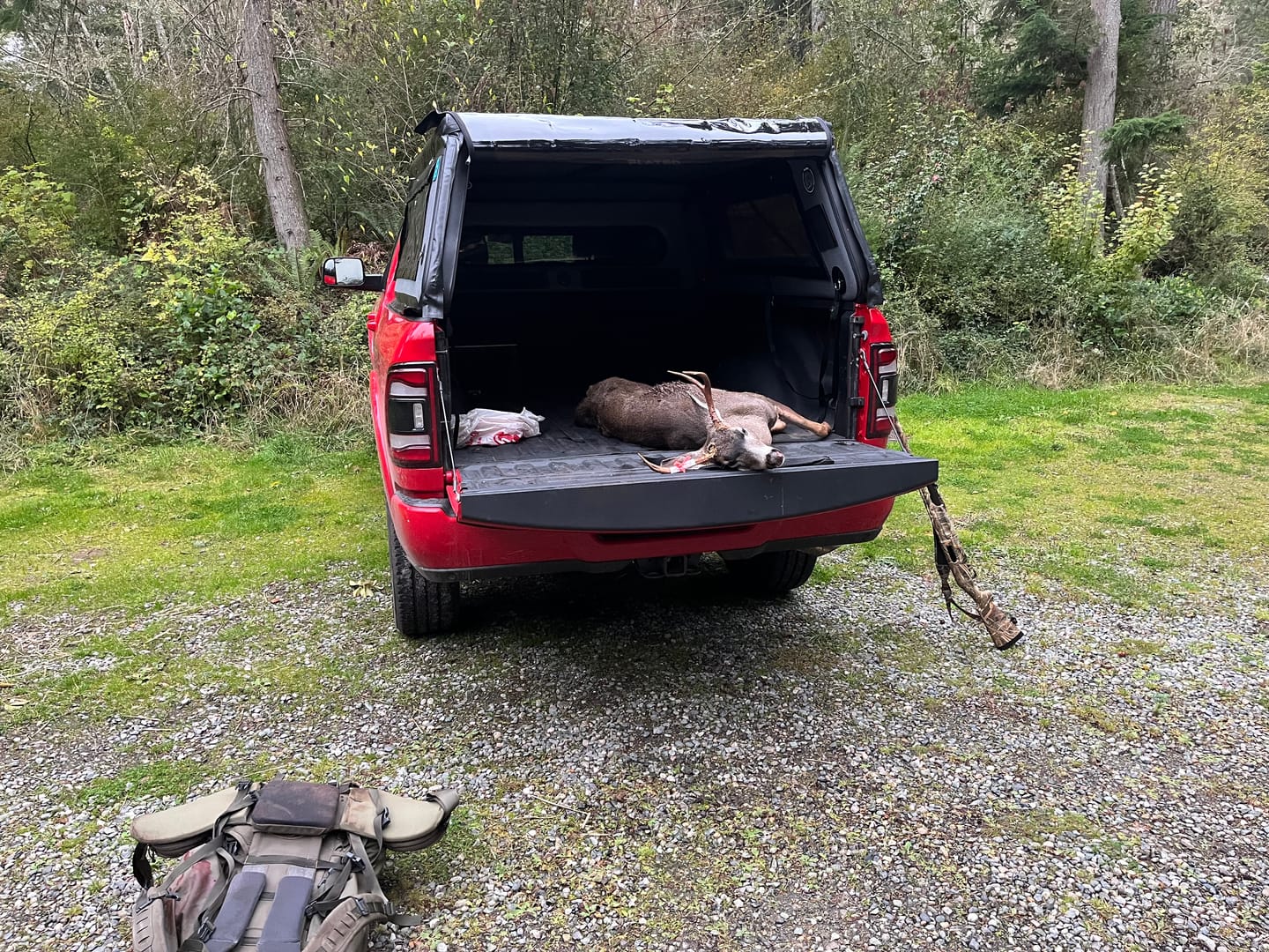 Customer photo review of FULL-STANDARD DT MR64