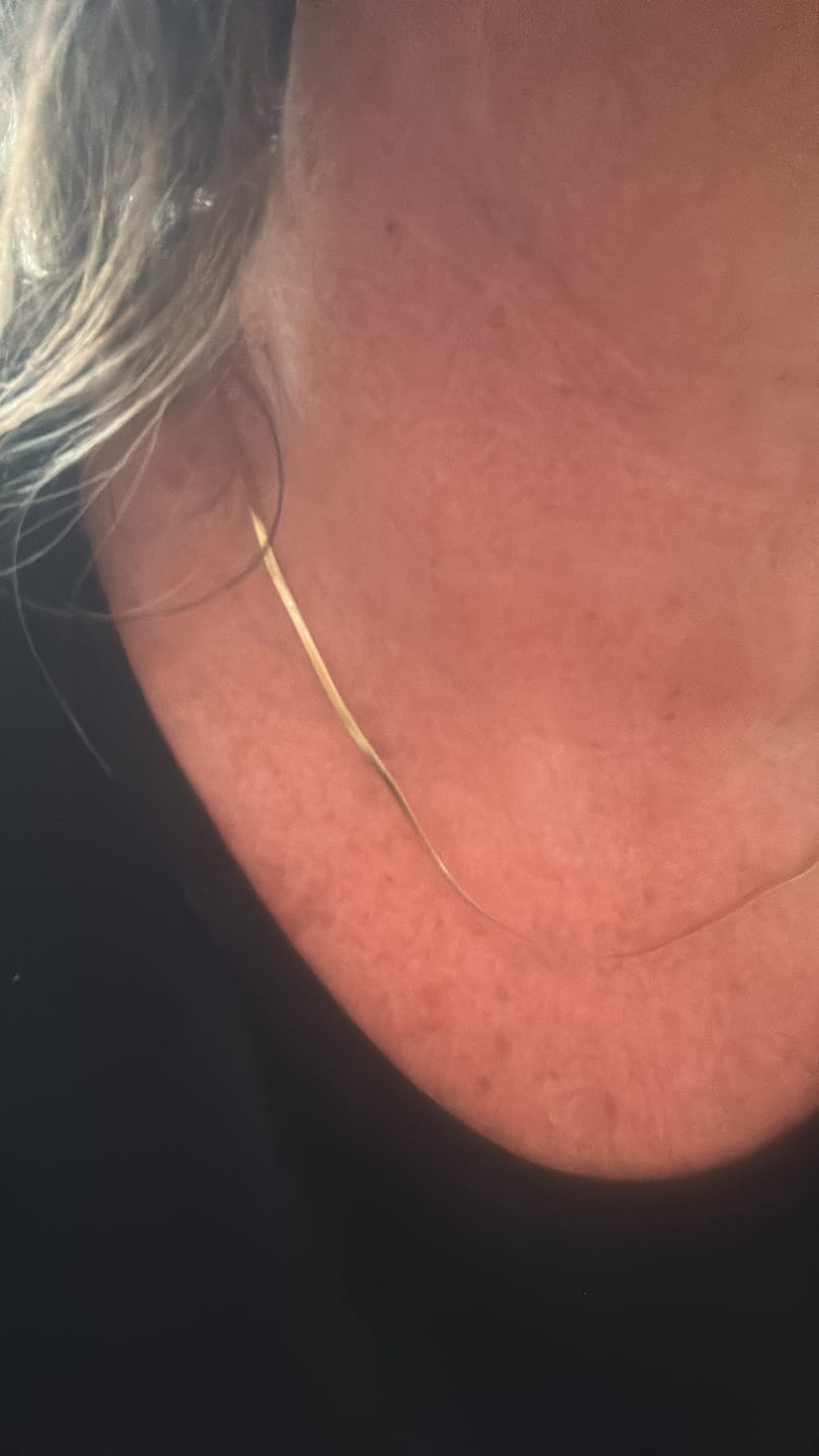 Customer photo review of Fine Essentials Necklace