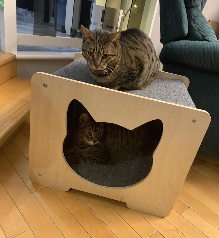 Customer photo review of The Hut Hideout Pet House