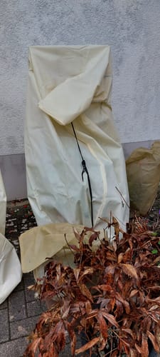 Customer photo review of Winterschutz für Kübelpflanzen XXL H 180 x B 120 cm Ø 76 cm