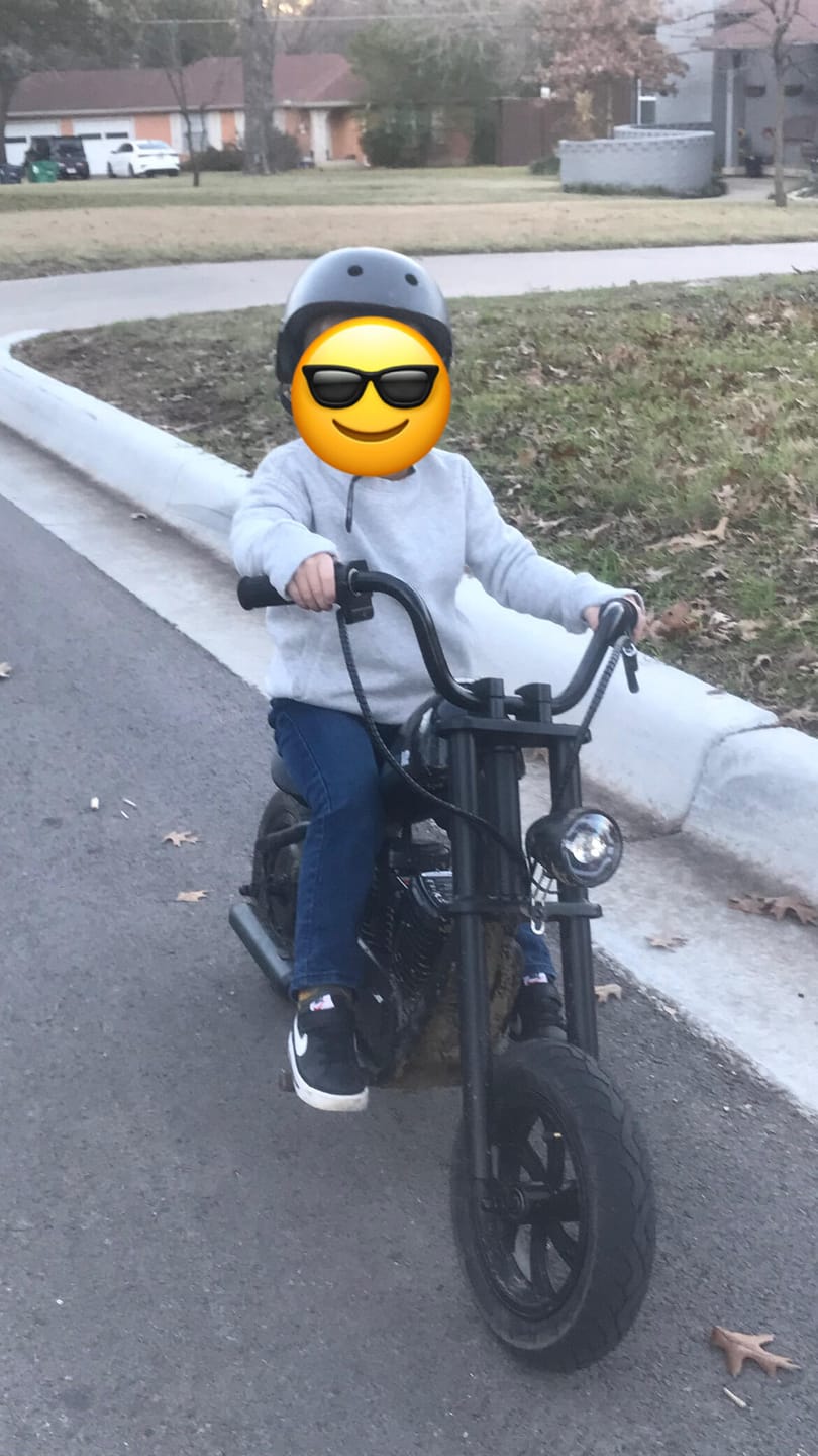 Customer photo review of Cruiser 12