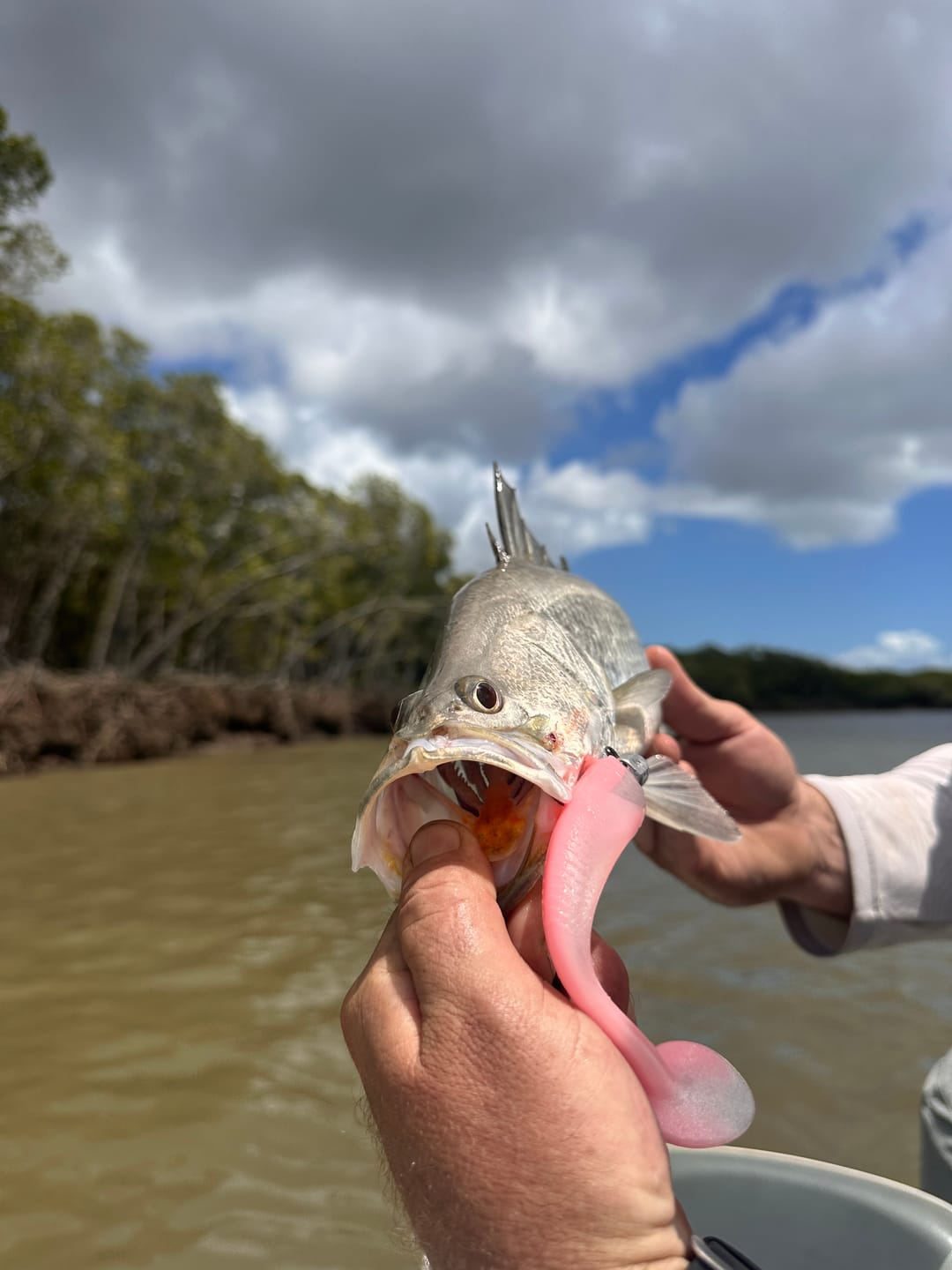 Customer photo review of VALUE BUNDLE (DEATH SHAD)