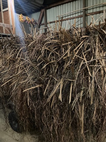 Customer photo review of Hunting Blind Raffia Grass (Pack)