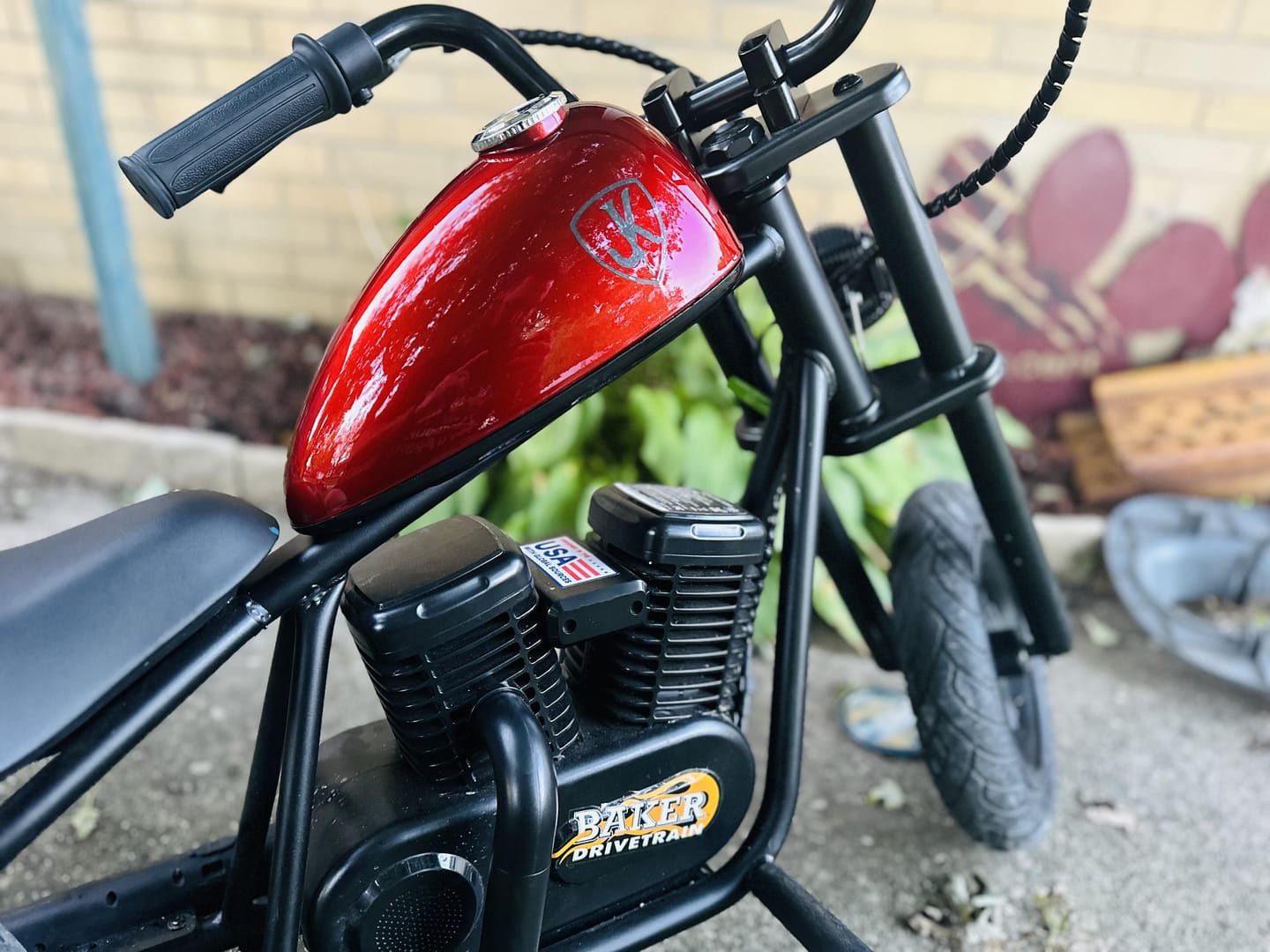 Customer photo review of Cruiser 12