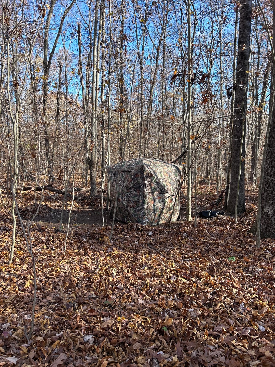 Customer photo review of VisST See-Through Pop-Up Ground Blinds with Silent Magnetic Door