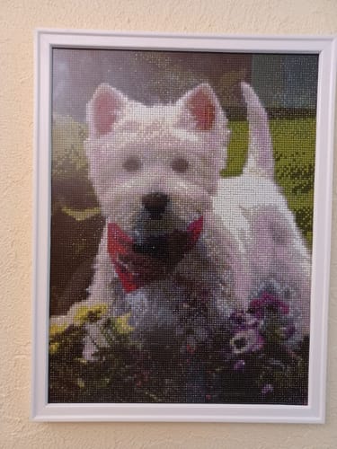 Customer photo review of Made with Diamonds® Custom Kit