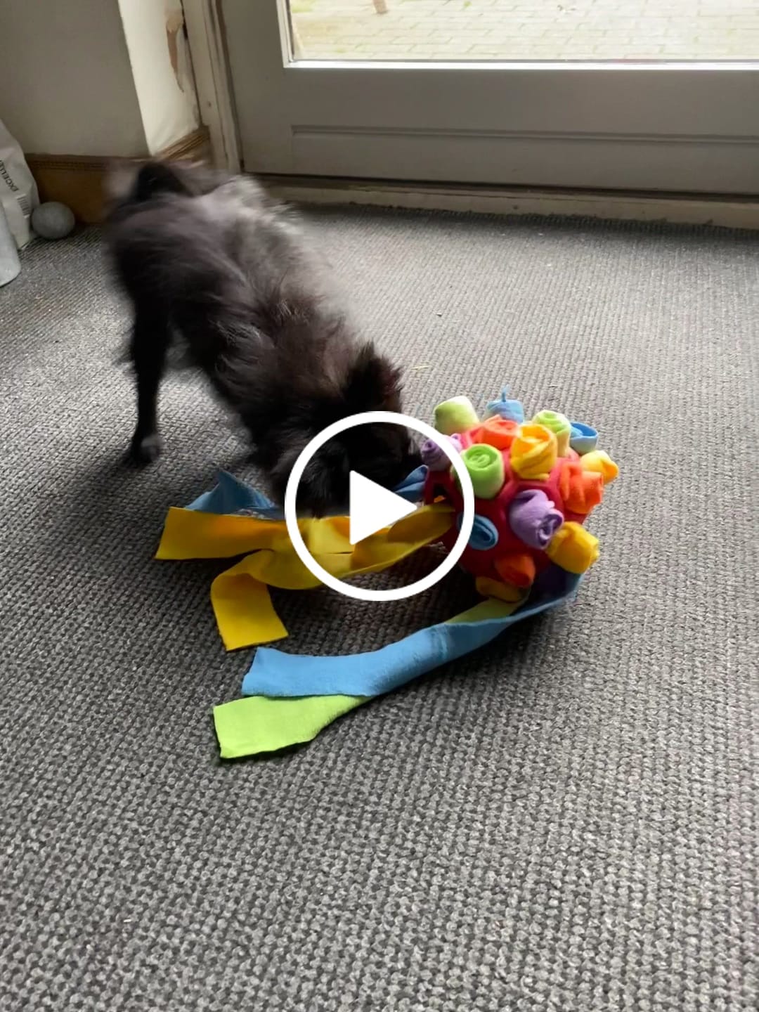 Customer video review of SnufFiesta: Den Ultimative Snusebold