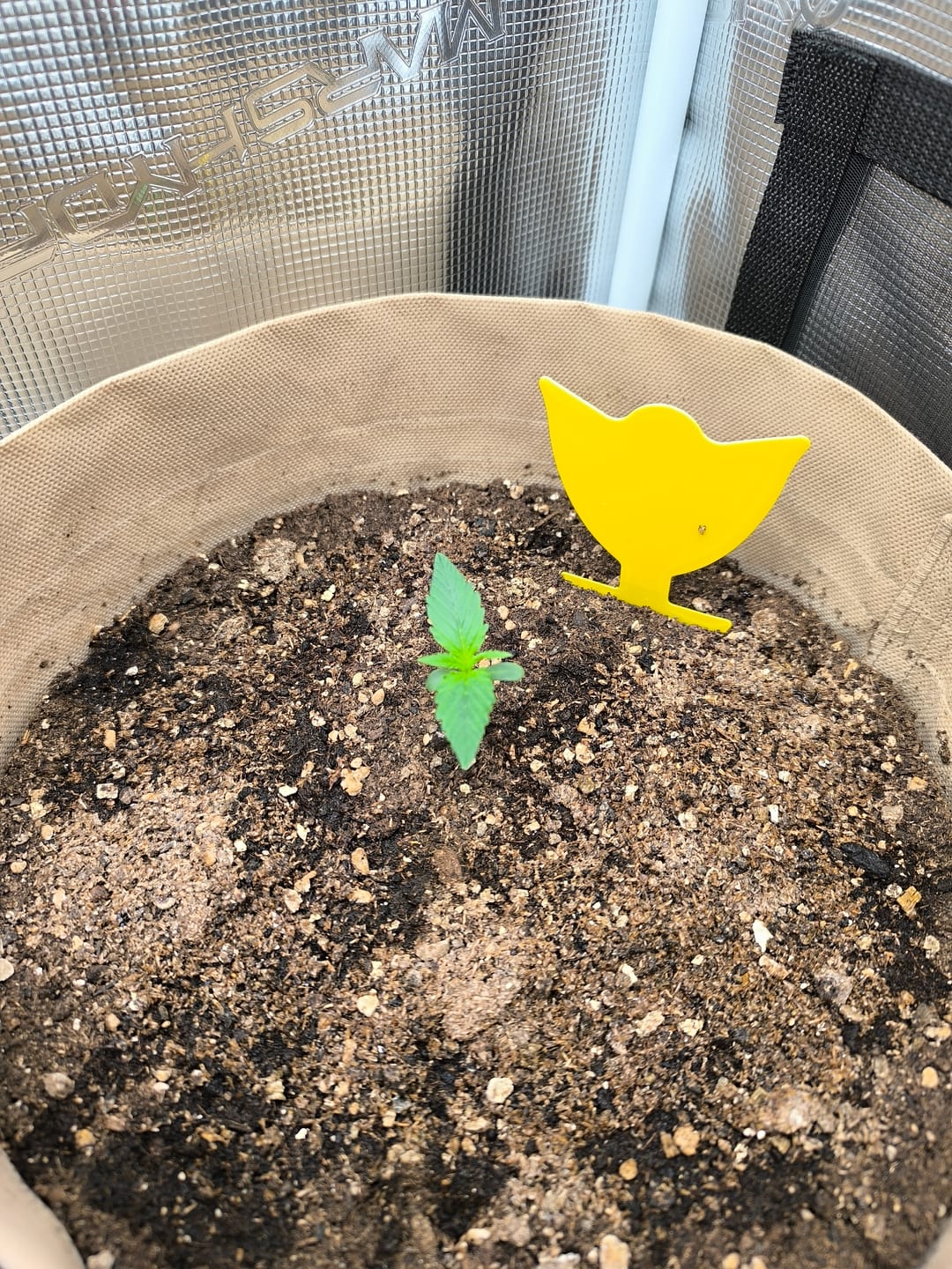 Customer photo review of Root Heaven Stoff Topf