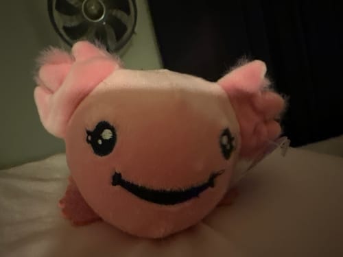 Customer photo review of Axolotl Plush Ball Jellies Sensory Fidget Toy