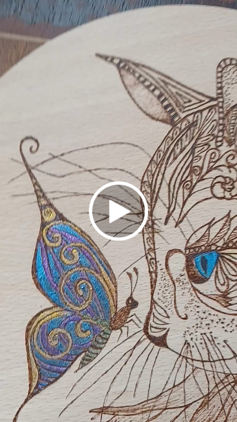 Customer video review of Sapphire Shifters