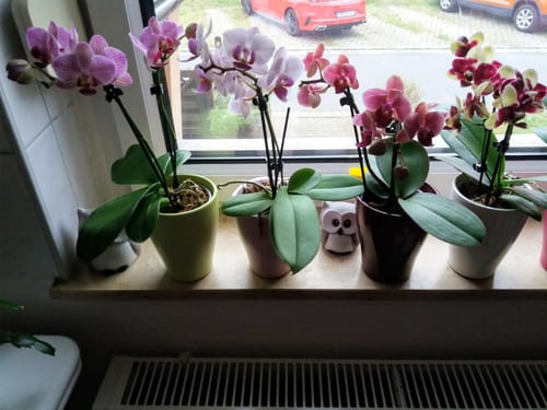 Customer photo review of Überraschungspaket Neuheiten