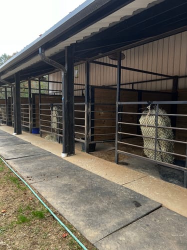 Customer photo review of Hay Chix® 2-Strand Bale Net (Small Bale Net)